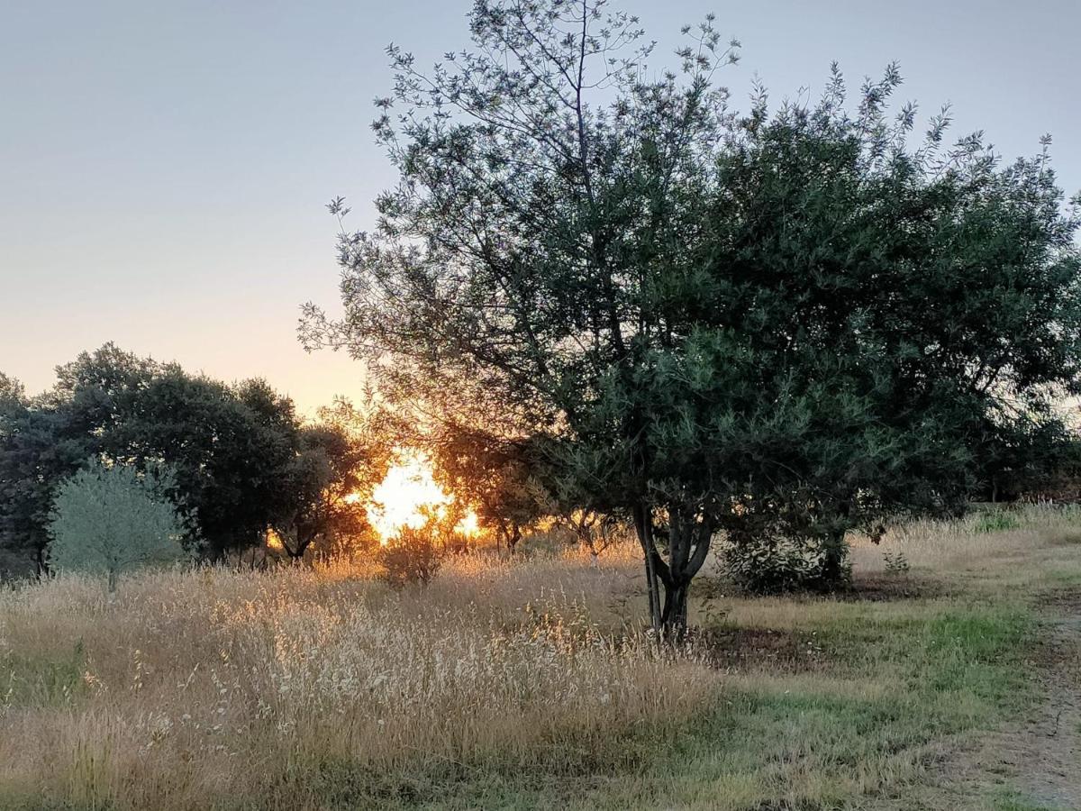Casa Rural Camino Del Alentejo Villa La Codosera Esterno foto