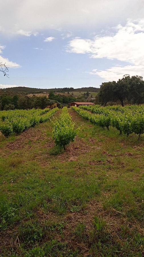Casa Rural Camino Del Alentejo Villa La Codosera Esterno foto