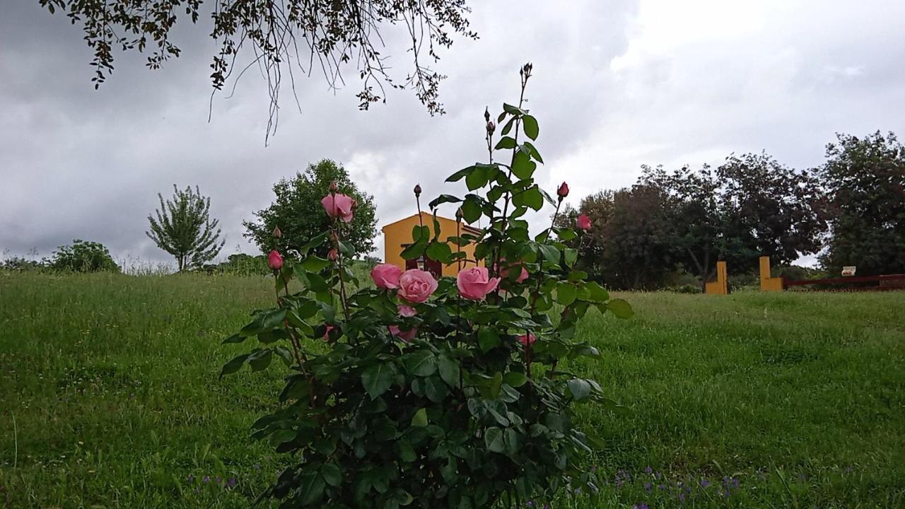 Casa Rural Camino Del Alentejo Villa La Codosera Esterno foto