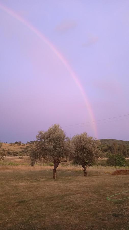 Casa Rural Camino Del Alentejo Villa La Codosera Esterno foto